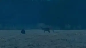 Задник к фильму "Зло не существует" #756361