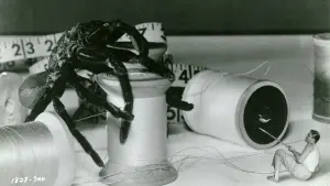 Задник к фильму "Невероятно худеющий человек" #212647