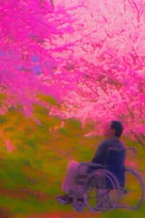 Постер к фильму "Фейерверк" #711010