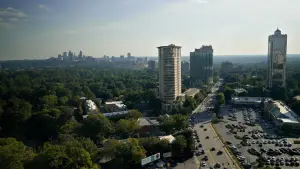 Задник к фильму "The Tree Economy" #775519