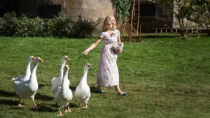 Задник к фильму "Золушка" #464453