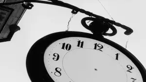 Задник к фильму "Земляничная поляна" #693412