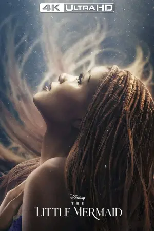 Постер к фильму "Русалочка" #5615