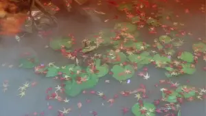 Задник к фильму "青蛇" #903087