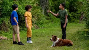 Задник к фильму "Юные сыщики. Дело об исчезнувших щенках" #716644