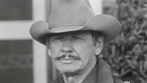 Задник к фильму "Пограничная полоса" #717724