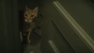 Задник к фильму "Тик-так... БУМ!" #697674