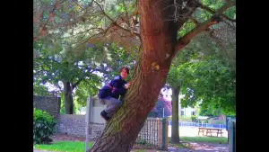 Задник к фильму "" #573283