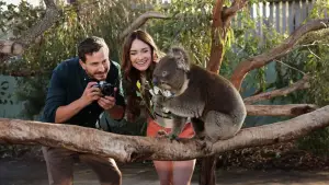 Задник к фильму "Любовь в Мельбурне" #542331