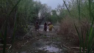 Задник к фильму "Адаптация" #671079