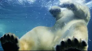 Задник к фильму "Земля" #384804