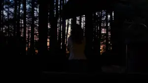 Задник к фильму "Зло не существует" #756359