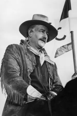 Постер к фильму "Она носила желтую ленту" #253793