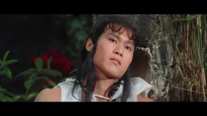 Задник к фильму "Ниндзя пяти стихий" #471131