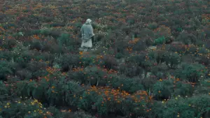 Задник к фильму "खाल बछड़ा" #778000