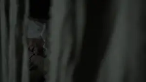 Задник к фильму "Ведьма" #600300