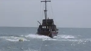 Задник к фильму "Челюсти" #521034