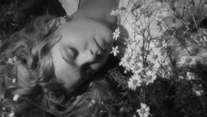 Задник к фильму "Баллада о солдате" #446430