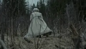 Задник к фильму "Ведьма" #600277