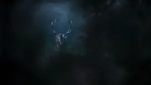 Задник к фильму "" #534631