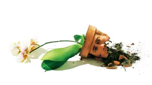 Задник к фильму "Адаптация" #220766