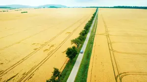 Задник к фильму "Гуд бай, Берлин!" #418058