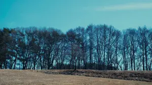 Задник к фильму "" #504024