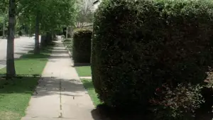 Задник к фильму "Хэллоуин" #610868