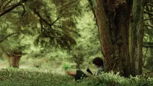 Задник к фильму "Властелин колец: Братство кольца" #515485