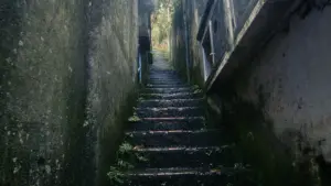 Задник к фильму "" #416397