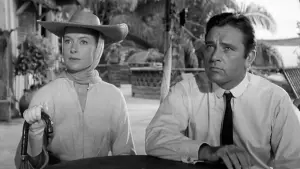 Задник к фильму "Ночь игуаны" #436553