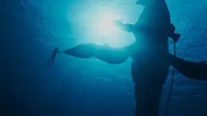 Задник к фильму "" #394956