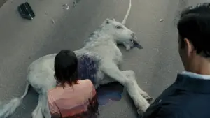 Задник к фильму "Смерть Единорога" #568897