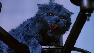 Видео к фильму Strays | Strays (1991) - Clip: Cat Crib (HD)