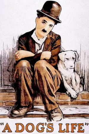 Постер к фильму "Собачья жизнь" #223322