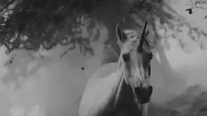 Задник к фильму "Бегущий по лезвию" #563426