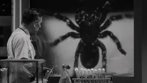 Задник к фильму "Тарантул" #721406