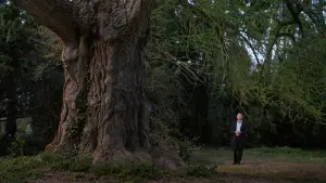 Задник к фильму "Молчаливый друг" #525061