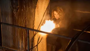 Задник к фильму "Досье «Чёрная канарейка»" #622835