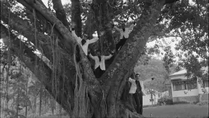 Задник к фильму "Табу" #451737