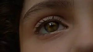 Задник к фильму "Сплит" #600724