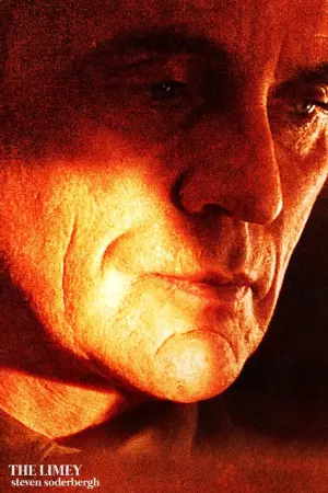 Постер к фильму "Англичанин" #278008