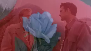 Задник к фильму "Твин Пикс: Сквозь огонь" #643226