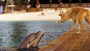 Задник к фильму "Зевс и Роксана" #491444