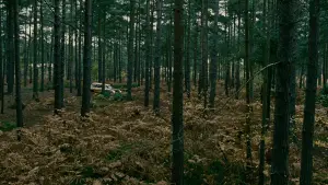 Задник к фильму "Дитя человеческое" #626849