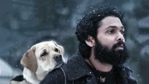 Задник к фильму "777 Чарли" #418969