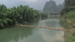 Задник к фильму "Храм Шаолинь 3: Боевые искусства Шаолиня" #456800