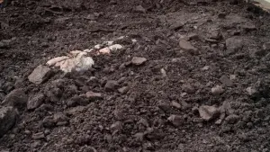 Задник к фильму "Черный уголь, тонкий лед" #392861