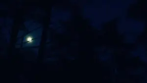 Задник к фильму "Зло не существует" #756355