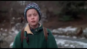 Задник к фильму "Один дома 2: Затерянный в Нью-Йорке" #567019